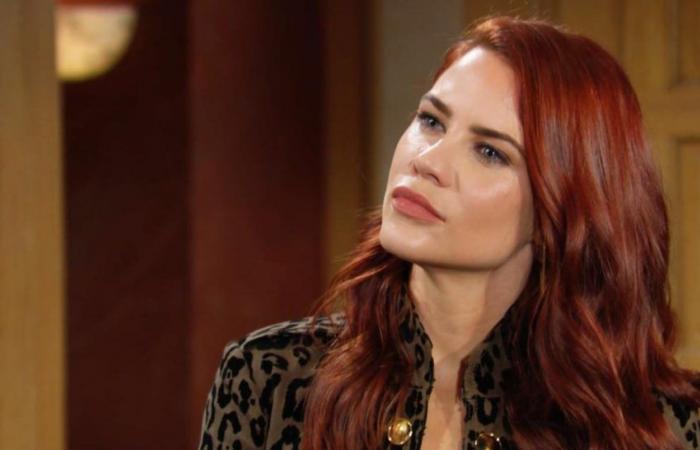 The Young and the Restless: This Incredible News That Just Dropped