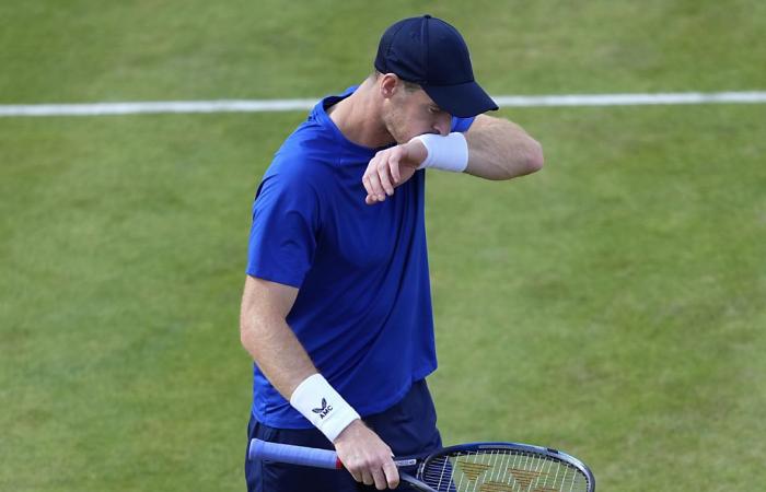Andy Murray to give up singles at Wimbledon