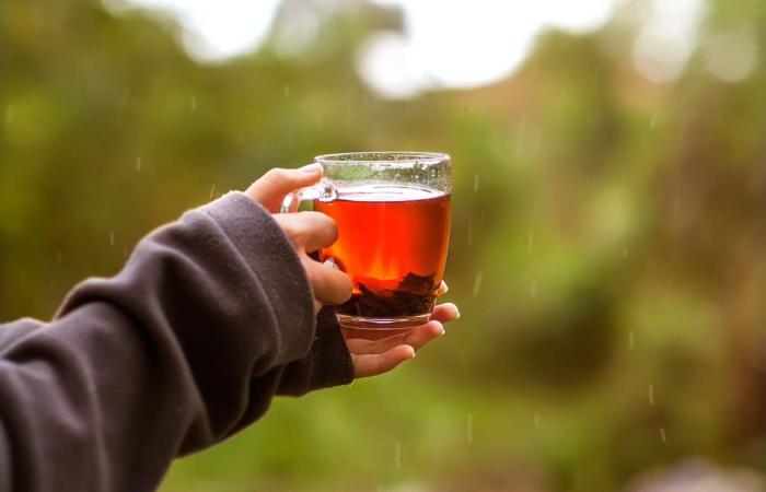 Here is the best herbal tea to avoid getting sick in July