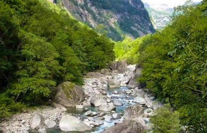 Ticino: four more missing after weekend storms