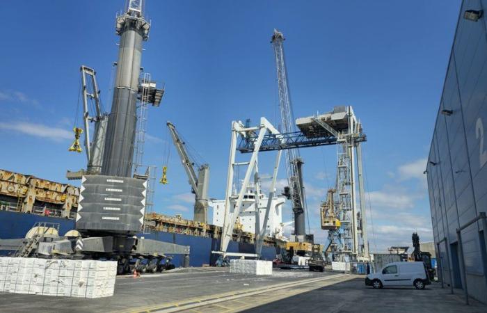 In the port of Sète, the 40-year-old gantry is dismantled