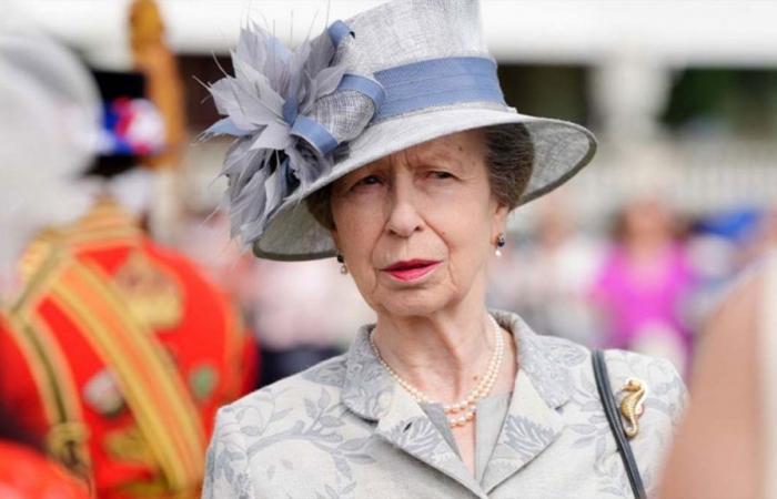 ‘I am deeply saddened’: Princess Anne breaks silence since hospitalization