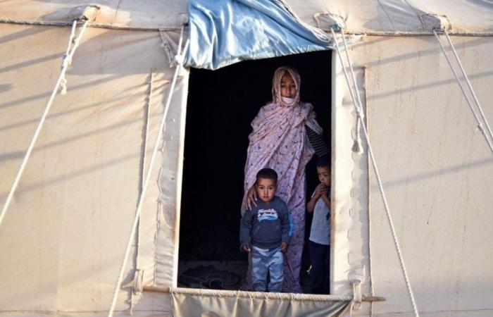 Under the pretext of offering them “holidays”, the Polisario sells Sahrawi children in Europe