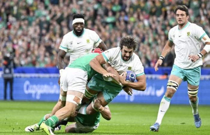 Twenty world champions in South Africa’s group as they prepare to face Ireland