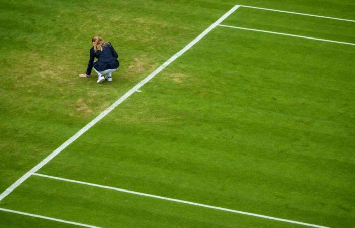 Tennis: At Wimbledon, the grass is not really what it used to be