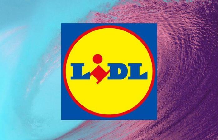 Lidl DIY sales: what are these 3 discounted products that everyone is snapping up?