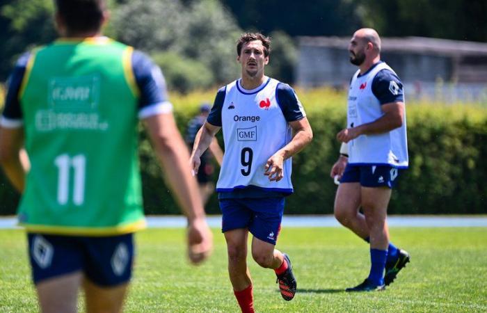 XV de France – Baptiste Serin in the scrum, Théo Attissogbe and Oscar Jegou towards a first… The probable line-up of the Blues for the first test against Argentina