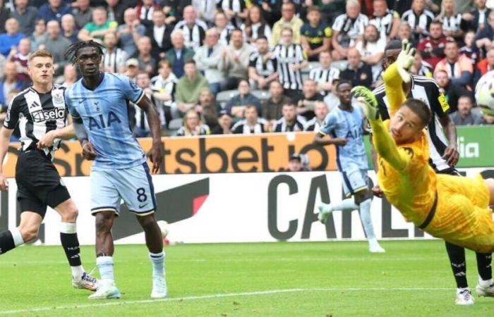 Tottenham
      experiment
      flops
      as
      victorious
      Newcastle
      expose
      £50m
      misjudgment
      |
      Football
      |
      Sport