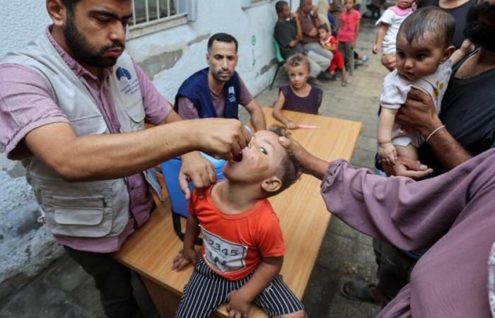 WHO
      announces
      success
      of
      first
      phase
      of
      anti-polio
      campaign
      in
      Gaza