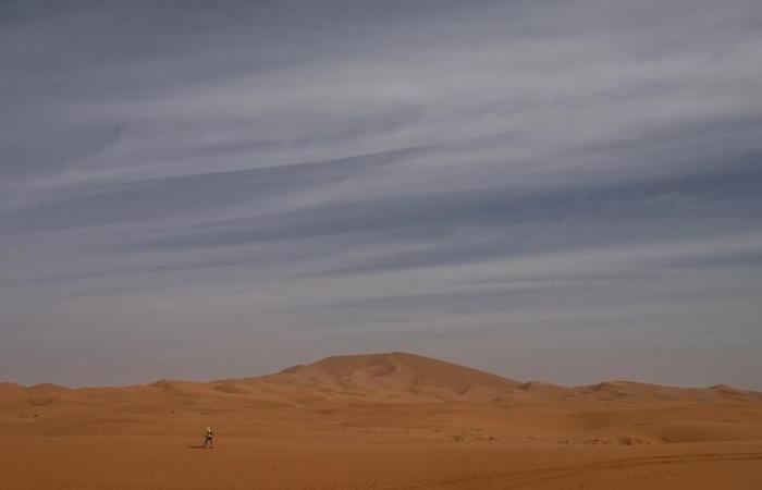 Behind
      the
      precipitation
      in
      the
      Sahara,
      the
      shadow
      of
      climate
      change