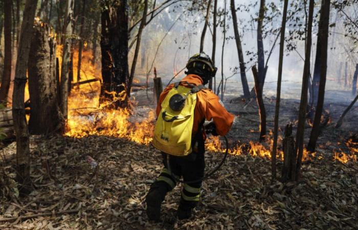 In
      Brazil,
      humidity
      drops
      to
      worrying
      levels,
      “as
      low”
      as
      in
      the
      Sahara