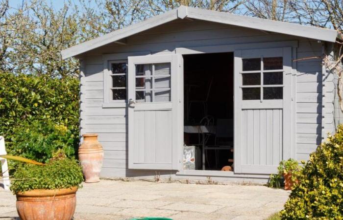 8
      tips
      for
      optimizing
      and
      storing
      your
      garden
      shed