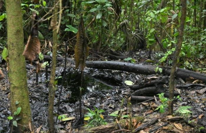 The
      indignation
      of
      the
      peoples
      of
      the
      Ecuadorian
      Amazon
      in
      the
      face
      of
      oil
      extraction