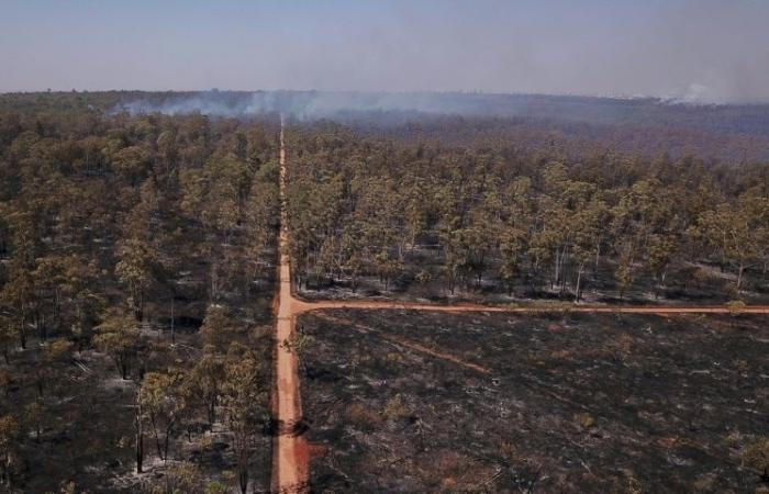 Regions
      of
      Brazil
      on
      alert
      for
      historic
      air
      drought