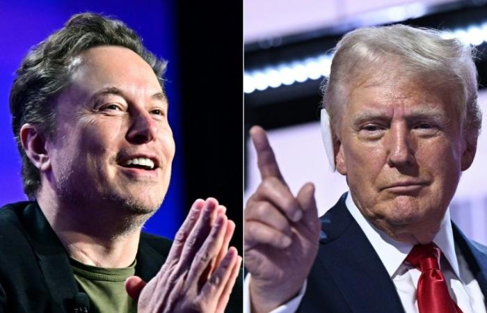 Trump
      wants
      to
      charge
      Musk
      with
      an
      “audit”
      of
      the
      American
      state
      to
      “reform”
      it
      in
      depth