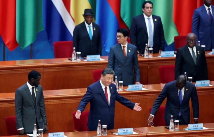 At
      the
      summit
      of
      Sino-African
      cooperation,
      Xi
      Jinping
      poses
      as
      defender
      of
      the
      Global
      South