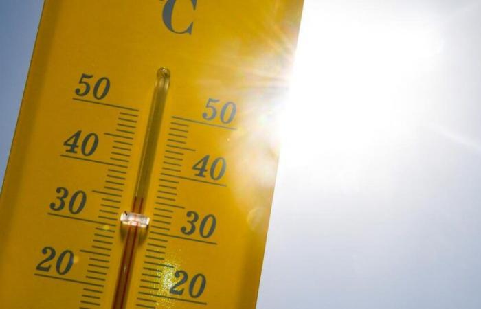 Summer
      2024
      is
      the
      hottest
      ever
      recorded
      on
      Earth