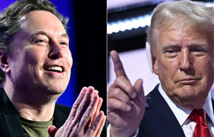 Donald
      Trump
      wants
      to
      charge
      Elon
      Musk
      with
      an
      “audit”
      of
      the
      American
      government
      to
      “reform”
      it
      in
      depth