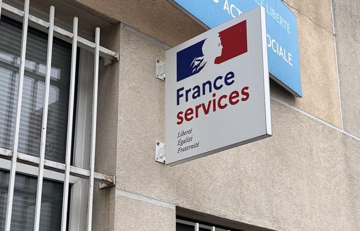 France
      services:
      a
      first
      positive
      assessment
      according
      to
      the
      Court
      of
      Auditors