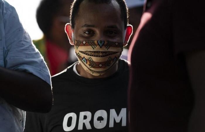 Seven
      opposition
      figures
      from
      Oromia
      released
      after
      three
      years
      in
      prison