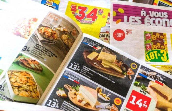 Promotional
      catalogues
      accused
      of
      mainly
      promoting
      junk
      food