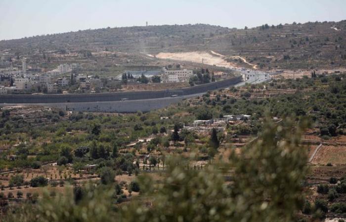 American
      woman
      shot
      dead
      during
      Tel
      Aviv
      protest