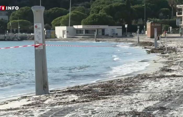 Alpes-Maritimes:
      after
      violent
      storms,
      13
      beaches
      closed
      due
      to
      pollution