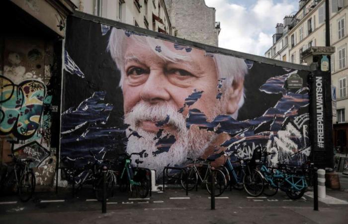 Greenland
      court
      extends
      whale
      defender
      Paul
      Watson’s
      custody
      as
      Japan
      seeks
      his
      extradition