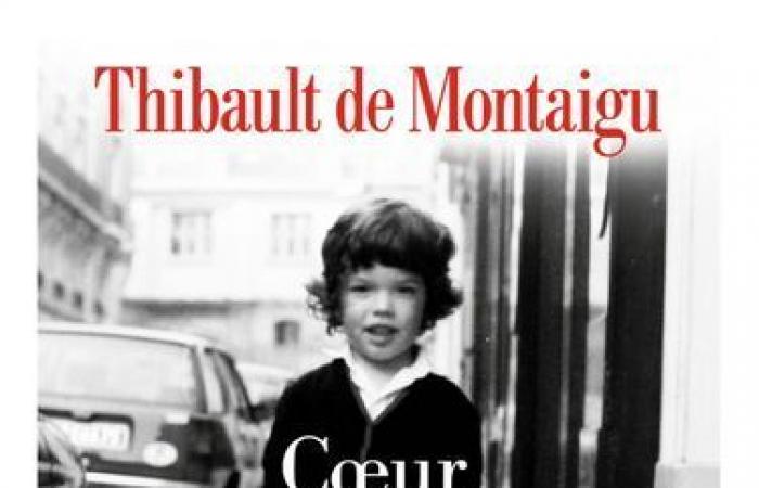 Thibault
      de
      Montaigu:
      the
      family
      investigation