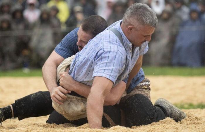 Anniversary
      wrestling
      festival
      in
      Appenzell:
      Muni
      as
      the
      only
      prize