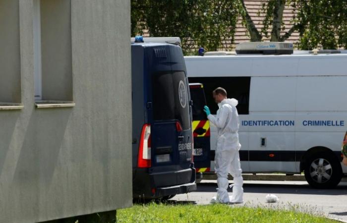 In
      Seine-et-Marne,
      a
      man
      stabs
      his
      partner
      and
      two
      children
      to
      death