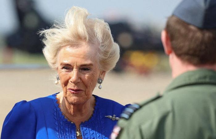 Camilla
      Parker
      Bowles
      buffeted
      by
      strong
      gusts
      of
      wind,
      her
      wild
      outing
      creates
      buzz