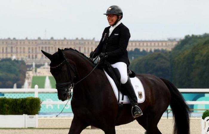 Paralympics:
      Heidemarie
      Dresing
      completes
      triple
      medal
      in
      dressage
      freestyle