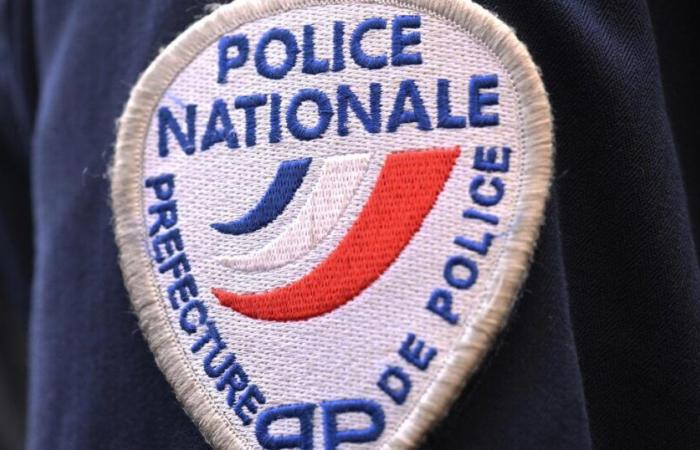 Couple
      attacked
      in
      Paris,
      four
      arrested