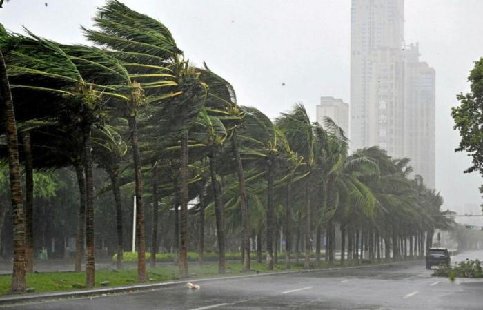 What
      we
      know
      about
      the
      dramatic
      consequences
      of
      Super
      Typhoon
      Yagi