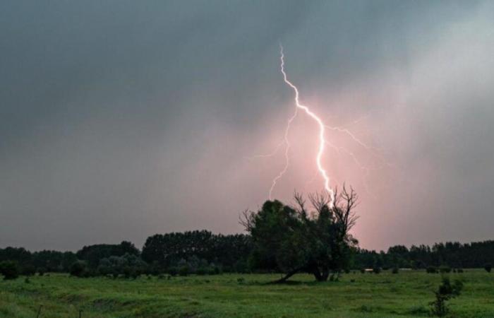 floods
      in
      Caen,
      gusts
      of
      114
      km/h
      in
      Dole
      in
      the
      Jura
      and
      Cévennes
      episode
      in
      progress