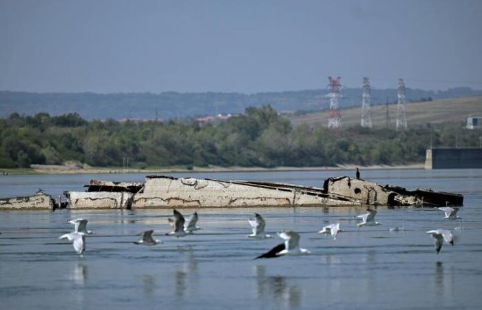 80
      years
      after
      Operation
      Danube
      Elf,
      the
      Nazi
      fleet
      resurfaces
      from
      the
      Danube