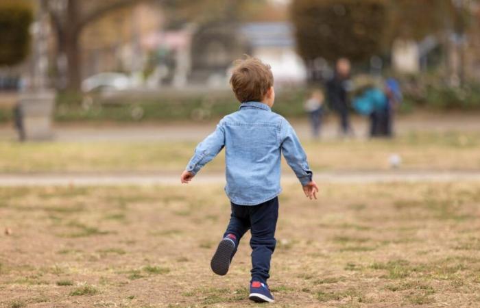 3-Year-Old
      Boy
      Escapes
      From
      Preschool
      And
      Returns
      Home