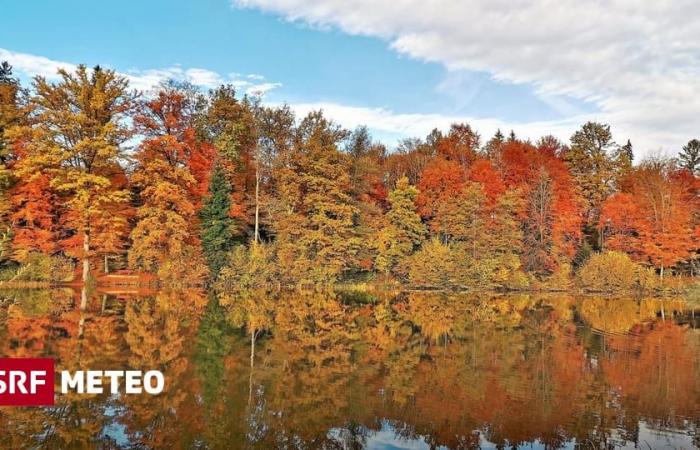 Autumn
      colours
      –
      Autumn
      will
      soon
      be
      colourful
      –
      Meteo