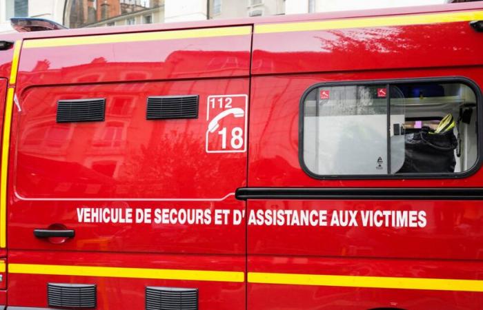 In
      Grenoble,
      a
      municipal
      employee
      seriously
      injured
      after
      trying
      to
      prevent
      a
      motorist
      from
      fleeing
      –
      Libération