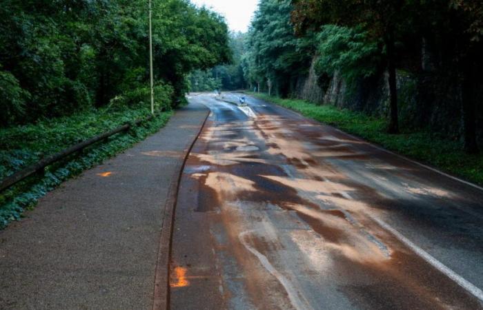 Two
      dead
      and
      two
      seriously
      injured
      in
      accident
      between
      bus
      and
      car