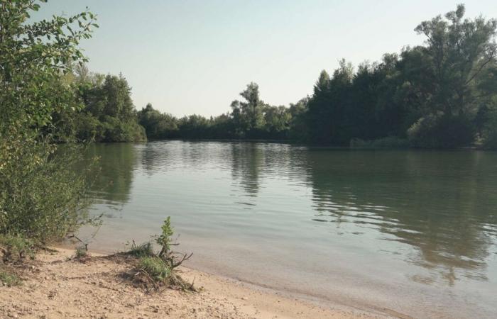 In
      Seine-et-Marne,
      jungle-like
      marshes
      within
      reach
      of
      a
      Navigo
      pass