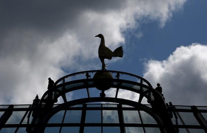 Report
      explains
      Tottenham
      board
      brilliant
      work
      in
      transfer
      window