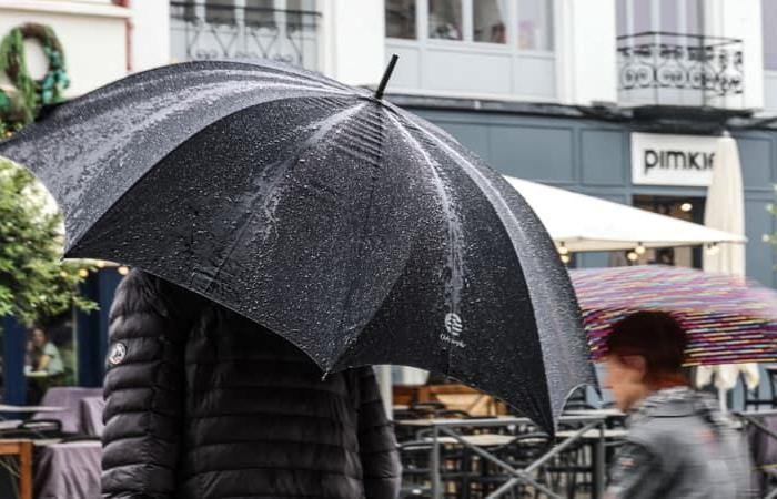 Heavy
      rains
      in
      the
      Alpes-Maritimes,
      cities
      take
      measures