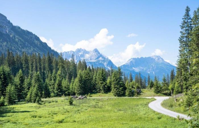 19-year-old
      woman
      gives
      birth
      in
      the
      Pyrenees
      at
      an
      altitude
      of
      1,700
      m