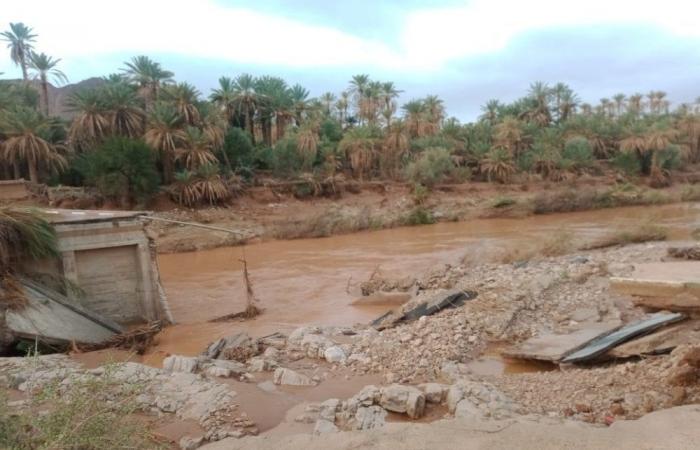 Floods
      in
      Morocco:
      Death
      toll
      rises
      to
      14