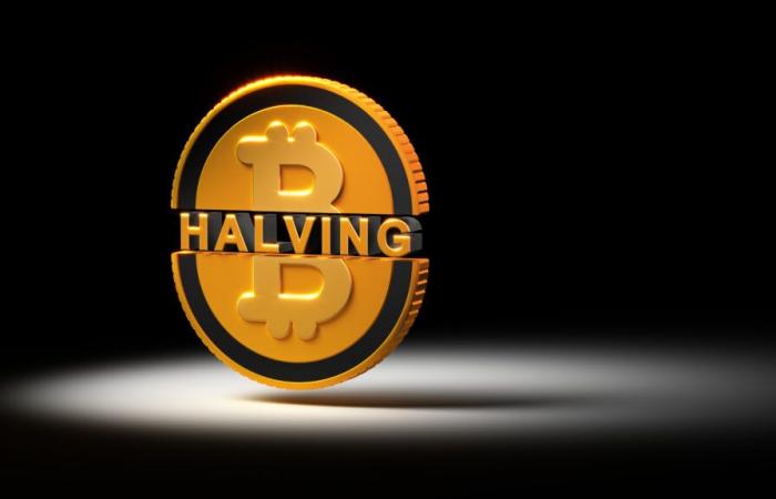 The
      Next
      Bitcoin
      Halving
      Won’t
      Happen
      Until
      2028.
      Here’s
      What
      Could
      Happen
      in
      the
      Meantime.