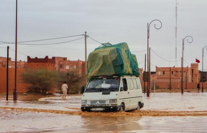 At
      least
      11
      dead
      after
      heavy
      flooding
      in
      the
      south