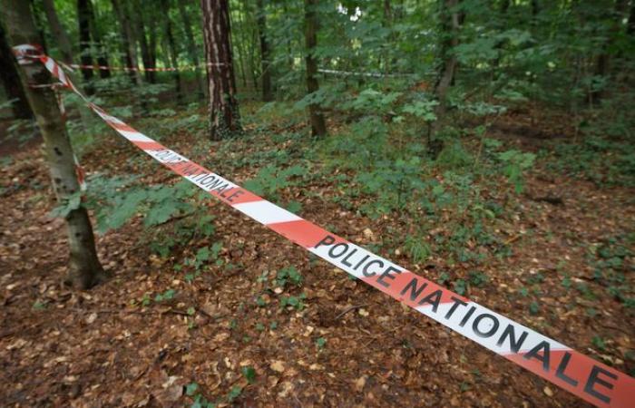 The
      “predator
      of
      the
      Bois
      de
      Vincennes”
      arrested,
      he
      allegedly
      raped
      and
      sexually
      assaulted
      several
      women