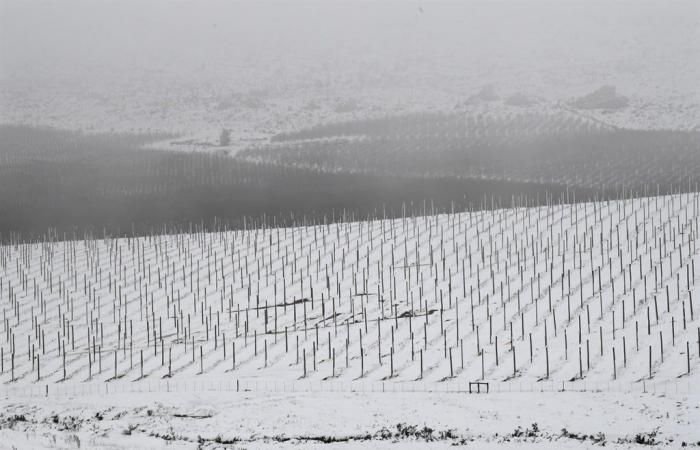 Monday’s
      weather:
      A
      mix
      of
      snow,
      risk
      of
      fire
      and
      damaging
      winds
      and
      waves
      in
      some
      provinces